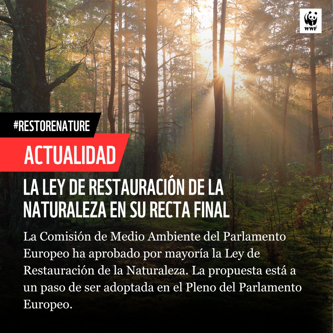 🇪🇺 ¡Buenas noticias! ► El @EP_Environment acaba de respaldar el Reglamento Restauración de la Naturaleza (#RestoreNature) Un paso más cerca de tener la primera ley de la UE para abordar las crisis climática y de biodiversidad 🌳 📌Próxima parada: Pleno del @Europarl_EN