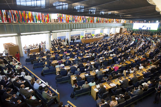 Want to direct <a href="/GlobalFishWatch/">Global Fishing Watch</a>'s international policy work? Establish data-driven positions on transparency, UBO and vessel tracking? Secure intl and regional change? Support countries to advance their data systems? Do my job alongside a fab team in 2024: boards.greenhouse.io/globalfishingw…