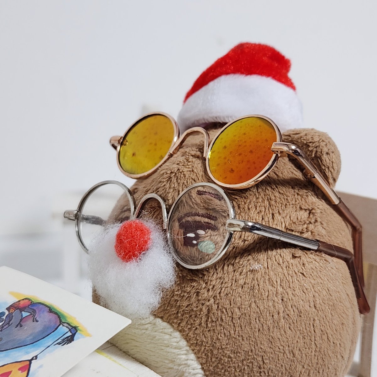 곰인이랑 아큐이가 왔다