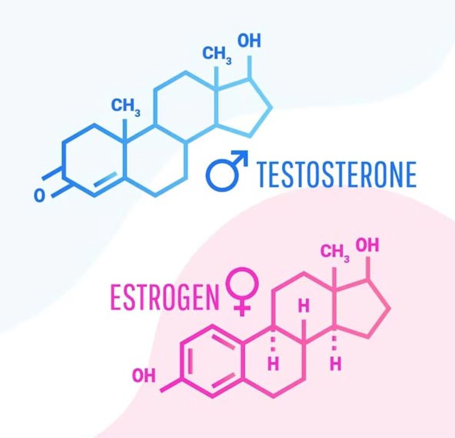 LongeBellSalud's tweet photo. Conoces los beneficios de la #SaludHormonal por sustitución ✅
En #CentroMédico 🌞 #LongeBell te lo contamos 👉 https://t.co/gOtFeq0RbK https://t.co/hgZOApHpgP