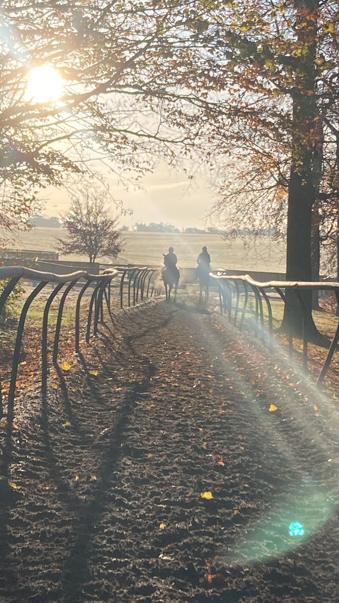 NewmarketGallop tweet picture