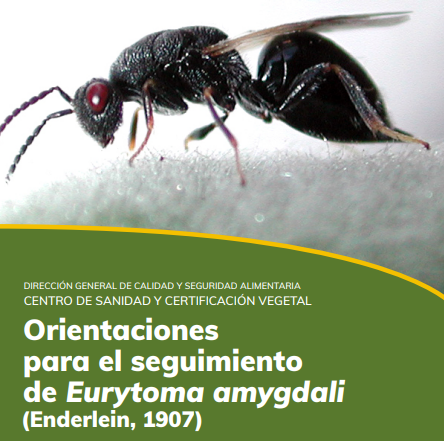 Información #técnica publicada por el #cscv de <a href="/GobAragon/">Gobierno de Aragón</a> sobre la 🐝#avispilla del almendro #Eurytomaamygdali en la que participa la investigadora de <a href="/CITAAragon/">CITA Aragón</a> Eva Núñez
#citatransfiere <a href="/Aragoninvestiga/">Aragón Investiga</a> 
➡️🔗hdl.handle.net/10532/6763