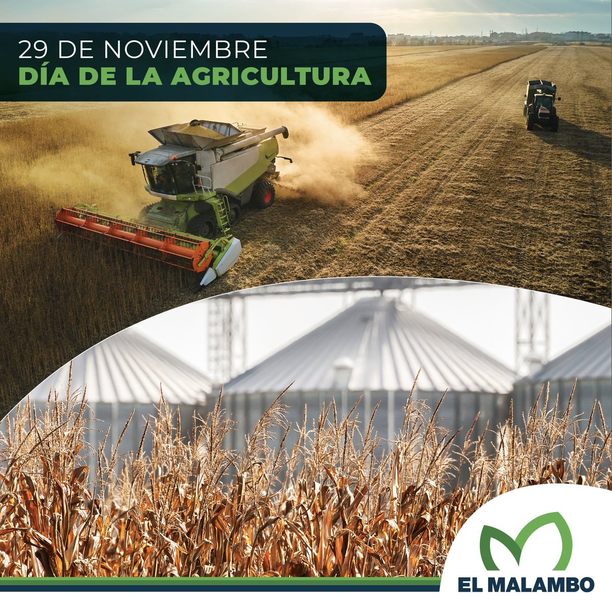 📆 Día de la Agricultura. 

🔜 Hoy celebramos este día para reconocer a todas las personas que aportan conocimiento, innovación y dedicación para impulsar la producción de nuestra agricultura.

🧑🏻‍🌾 ¡Felicidades a todos los que trabajan la tierra!.

#DiadelaAgricultura🌱