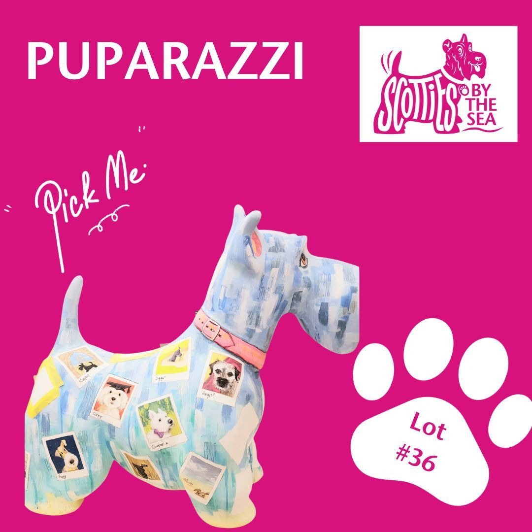 🌟 Puparazzi is Ready for a New Home! 🐾

Whether you're a business looking for a unique addition or an art enthusiast building your personal collection, here's your chance to bring Puparazzi home. 🏡 

Place your bid now &gt; buff.ly/3sGcJ2b
 
#ScottiesByTheSea