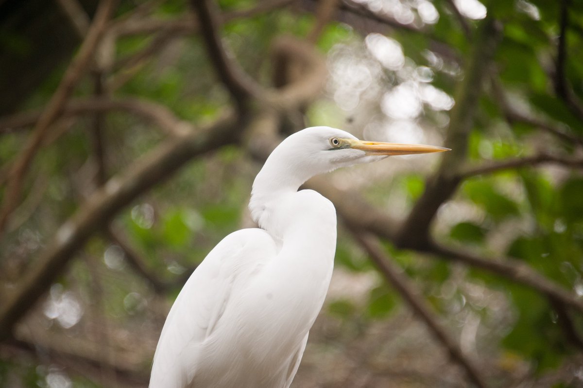 Boom dia! ☀️

O Sol está de volta por aqui, e na sua cidade como está o clima?