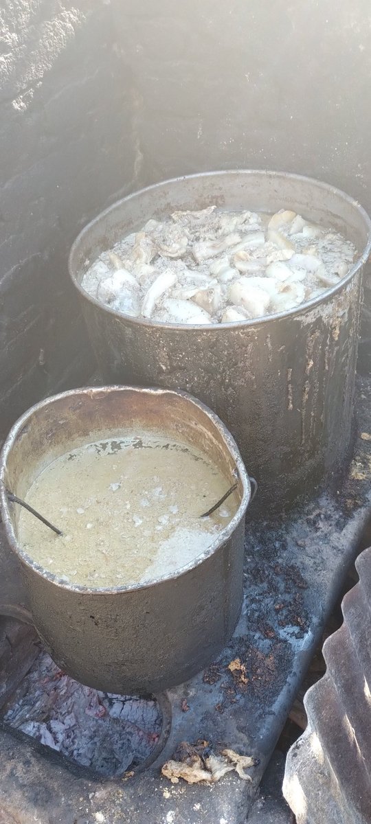 Buen díaaa.
A full las 2 ollas para los 🐶🐶❣️❣️😼😼