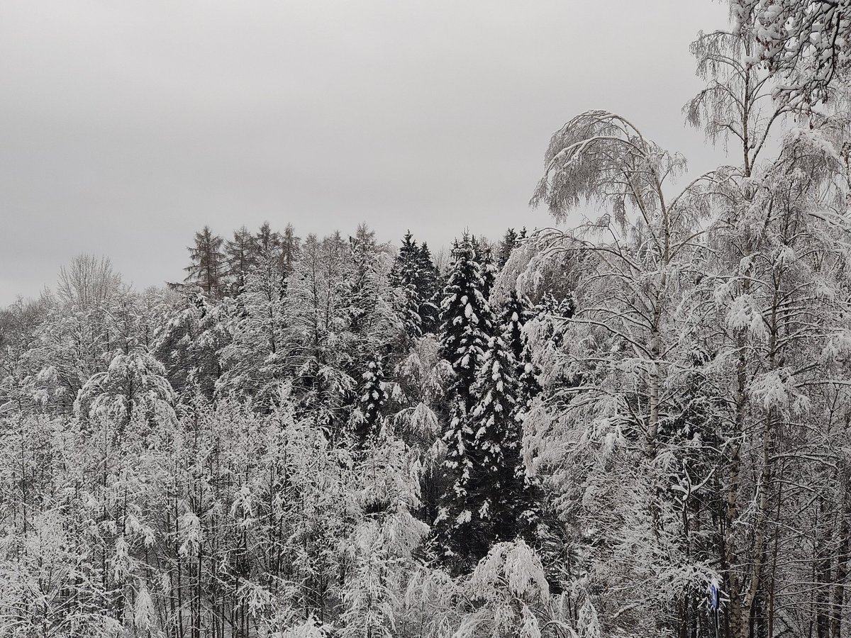fornfan's tweet photo. Der wärmste Schnee seit es Wetteraufzeichnungen gibt 👇
#Glima #asymptomatisch https://t.co/mJvqHizpAk