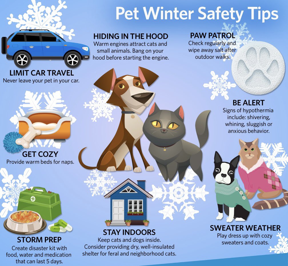 Here are a few safety tips to keep your pets safe too!  It’s a cold morning, remember to bundle up and stay warm!  #winterprep #scwx #winterwonderland #prepweek
