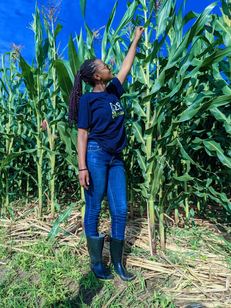 Empowering the youth in Agriculture: Here's to the women leading the way in conservation agriculture, nurturing maize growth sustainably for a thriving tomorrow! 🌾🚜 #YouthInAg #ConservationAgriculture
#WeForAgriculture 
🌽💚🚜💪