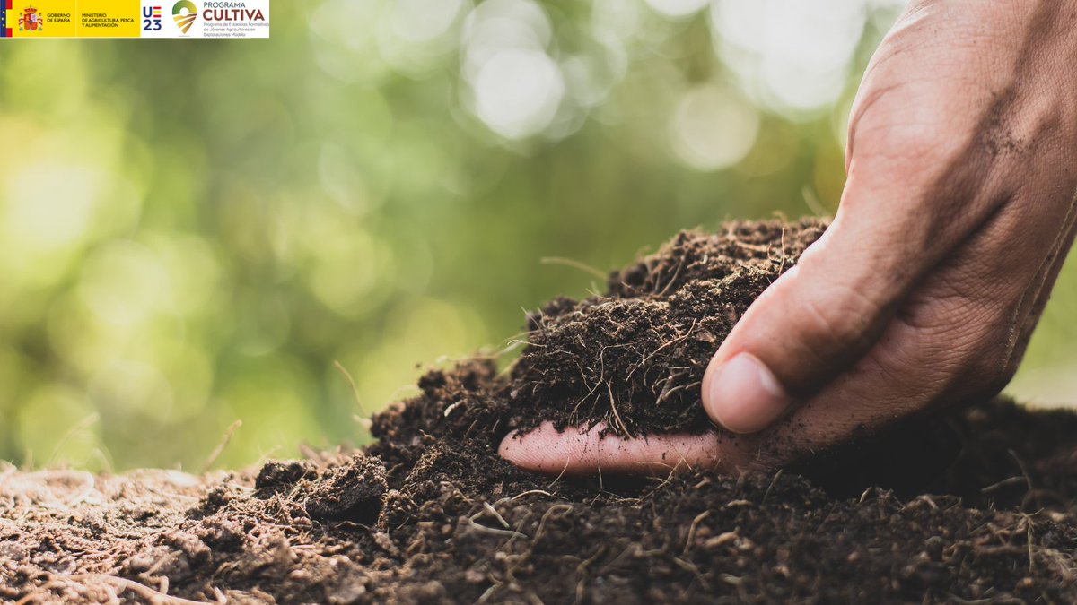 gobmapa's tweet image. 🚜En el #DíaMundialDelSuelo, celebramos la maravilla natural bajo nuestros pies.

Cada granja, cada cosecha, cuenta una historia de cuidado y dedicación, como nos enseñan en el #ProgramaCULTIVA 

¡Preservemos esta riqueza, por nuestro presente y futuro!

🔗bit.ly/3oASSiZ