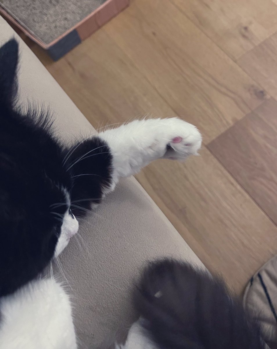 bullish on #portal $portal <a href="/Portalcoin/">Portal</a> 🤌🏻