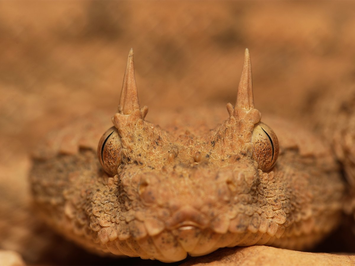 Naturetrek tweet media