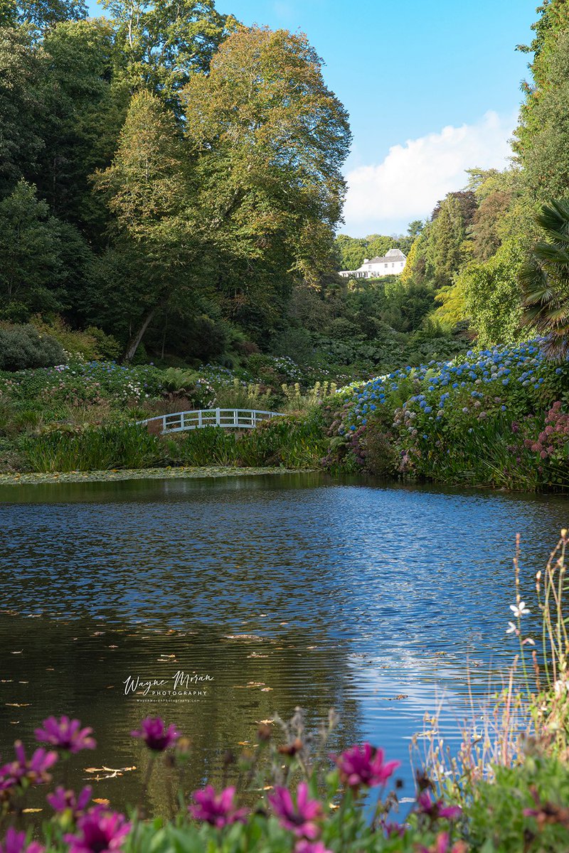 WayneMoranPhot0's tweet photo. The Gorgeous Trebah Garden Cornwall England The Gorgeous Trebah Garden Cornwall England
https://t.co/0Gl9AXODUf
https://t.co/vfv2z2ibBw
#Corwall #TrebahGarden #England #architecture #museum #fineart #exploremore #travelphotography #landscapephotography #buyintoart #Ayearforart https://t.co/xwzLIfMcqR