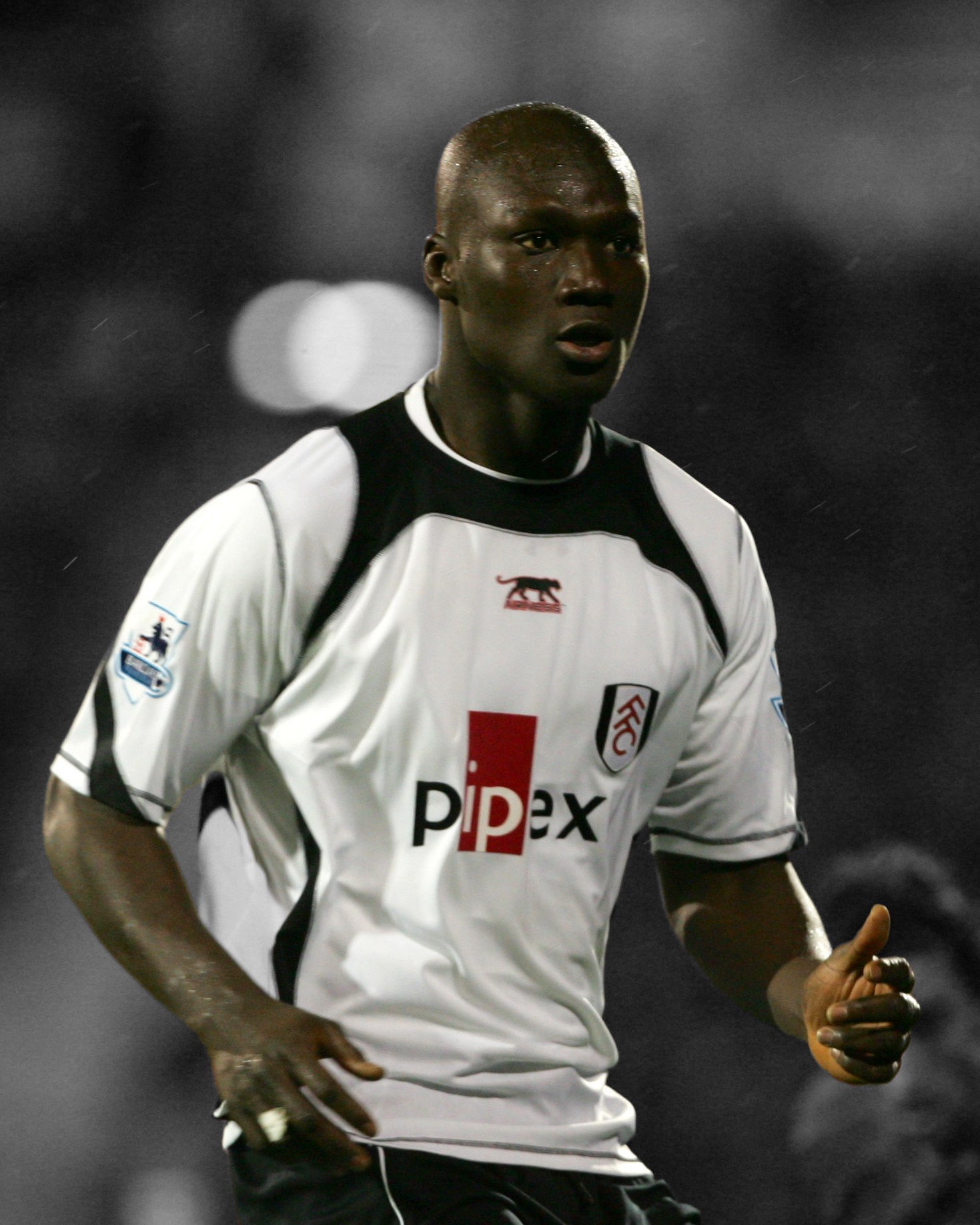 Papa Bouba Diop, Fulham Wiki