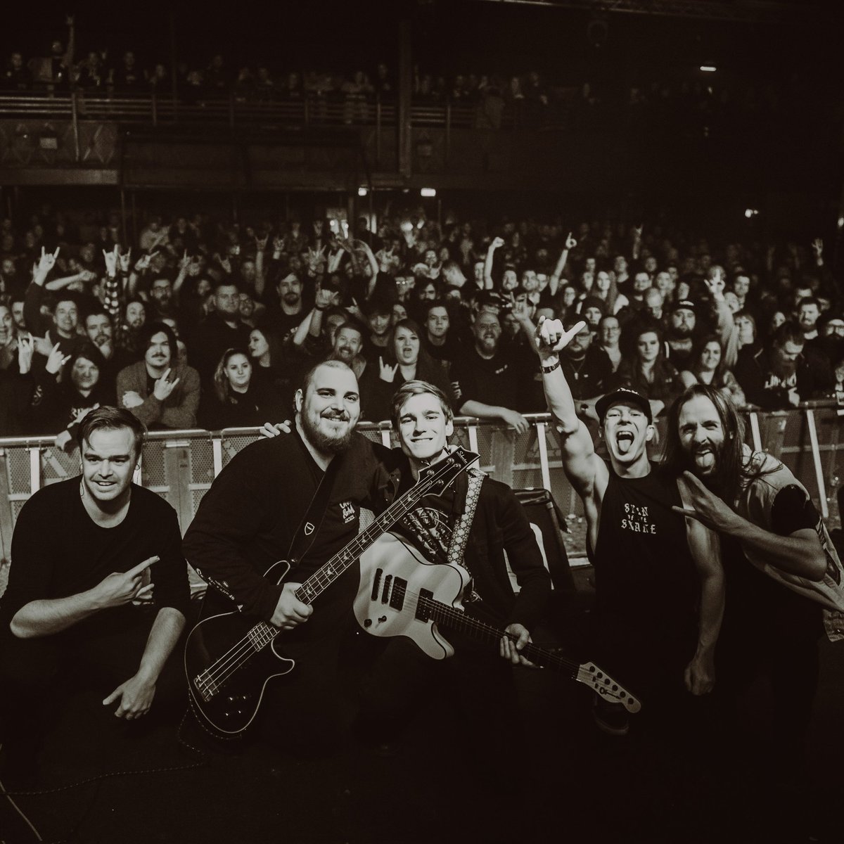 Those Once Loyal tweet media