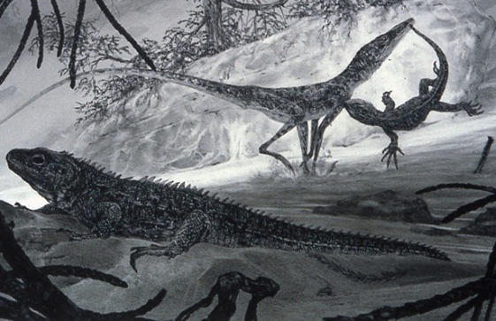 🐊🐊🐊Did you know that crocs started out as agile, land-living critters that looked more like foxes🦊 than “lizard-like” reptiles🦎?
🐊🐊🐊

Our paper <a href="/ThePalAss/">The PalAss</a> redescribes Terrestrisuchus, one of the oldest known crocodylomorphs, and such a cool animal onlinelibrary.wiley.com/doi/10.1002/sp…