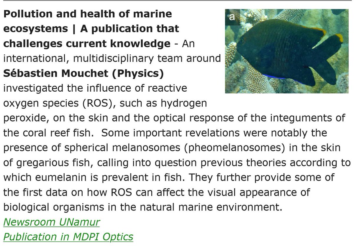 SRMouchet's tweet image. @ILEE64634459&apos;s newsletter spreads the word about our latest paper regarding the influence of #ReactiveOxygenSpecies on #fish #visualappearance 🐟
👉mailchi.mp/cfac11b5d10c/i…
👉mdpi.com/2673-3269/4/4/…
@FCortesi; @EcoVisUQ; @Exeter_Waves; @MDPIOpenAccess; @MdpiOptics; @MdpiPhysci