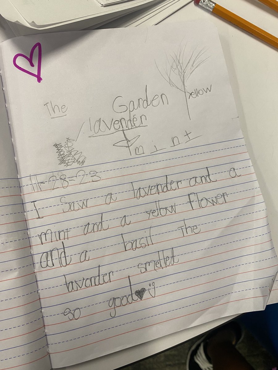 Thank you ⁦<a href="/MsKohlmaier/">Jacqueline Kohlmaier</a>⁩ for planting a sensory garden ⁦<a href="/HumbleISD_CE/">Centennial Elementary</a>⁩! We started our day learning that gently touching the leaves of lavender leads to a beautiful &amp; familiar smell! That sensory input inspired some lovely writing reflections! 😍🦋✨🌱