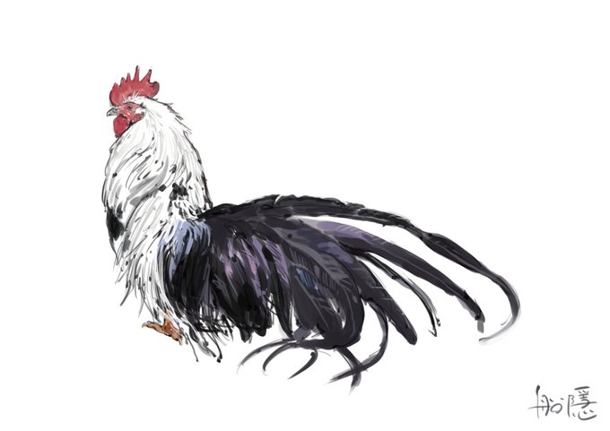 「動物 鶏」のTwitter画像/イラスト(新着)｜3ページ目