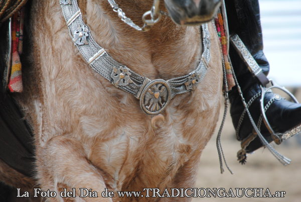 tradiciongaucha's tweet photo. 📸 #FotoDelDía #Pretal #Tradición 
https://t.co/JAtNwCT7Na https://t.co/SvMdZhXoCf