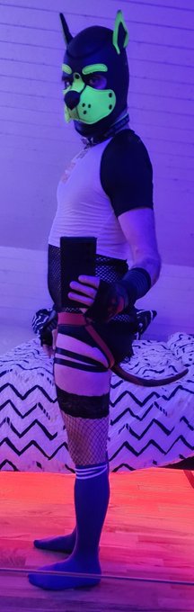 New outfir 🤪 #puppyplay https://t.co/OUXBnYVDwR<a href="/tag/puppyplay"class="tags">#puppyplay</a>
