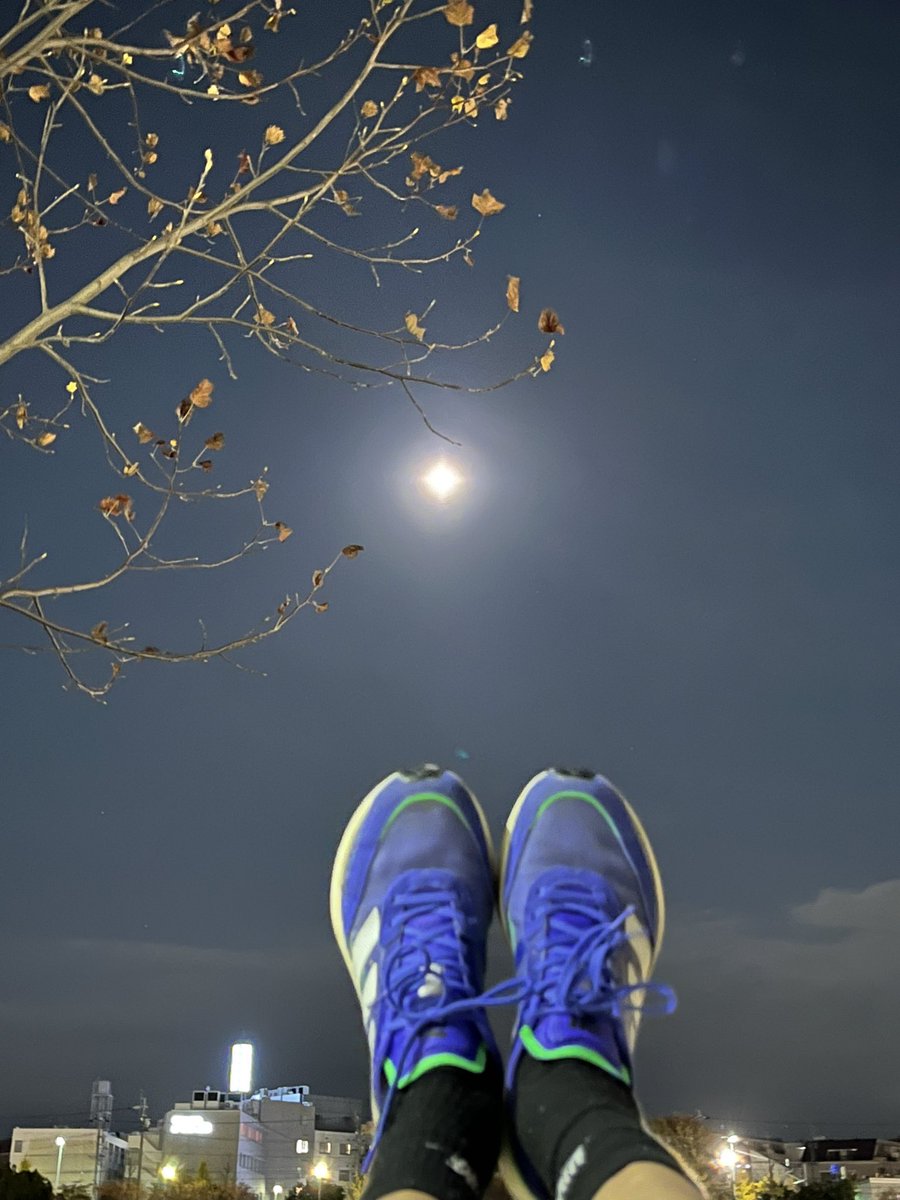 tsuji_1222's tweet photo. #練習記録
今夜は川名公園不整地jog60分🏃
工事はほぼ終わっていた感じ🤗
最後WS200×5は思ったより良かった(全て35秒切れた✌️)
ラン後はたこ焼きとシュークリーム🥰
明日は瑞穂トラック練🚚予定
#ランニング #garmin #東海ハーフマラソン まであと12日 #Boston10 #満月は昨日 🌕 https://t.co/EOE8ksukwm