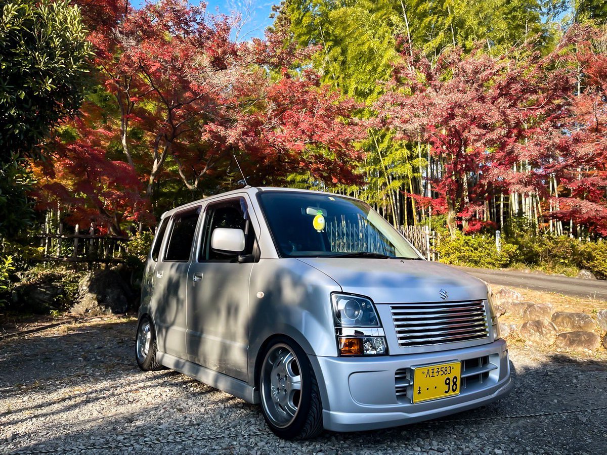 やよい🦭とりあえず退院しました。33w tweet media