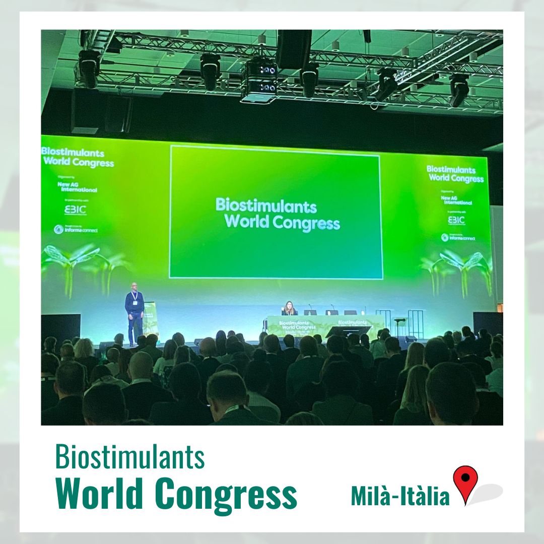 📍Estamos en Milán, en el #BiostimulantsWorldCongress👉 El Congreso centrado en descubrimientos científicos, resultados de investigaciones y debates técnicos sobre temas relacionados con los bioestimulantes vegetales y las disciplinas interrelacionadas🌱
informaconnect.com/biostimulants-…
