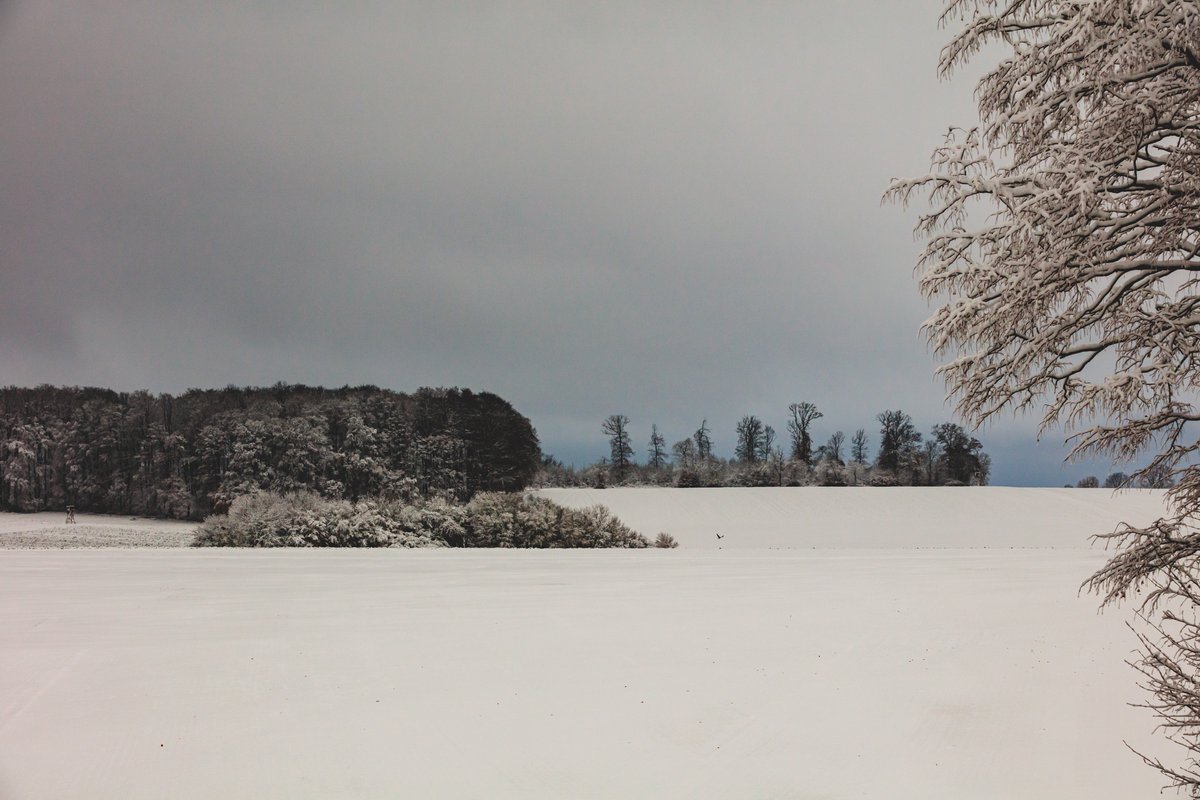 Ein wenig Schnee ist liegengeblieben. 🌨 Blick über die mit Schnee bedeckten Felder. #novemberblick #feldblick #Schnee