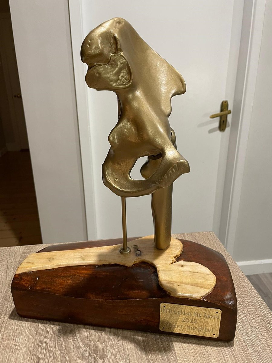 A huge congratulations goes to the Mater Misericordiae University Hospital who have won the Golden Hip Award for the second year in a row. This is a result of working closely as a multidisciplinary team to identify areas for improvement. The hip fracture governance committee