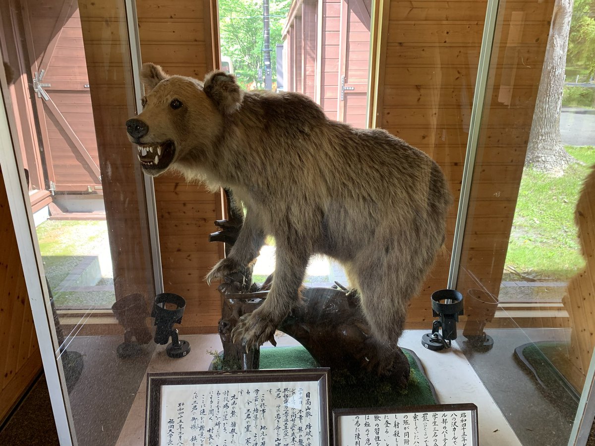 福岡大学ワンダーフォーゲル部の再現ドラマやってますね 日高山脈山岳