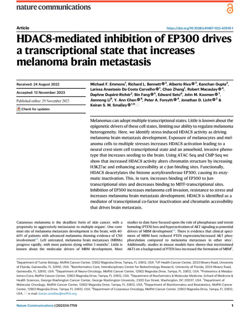 Keiran Smalley (@labsmalley) on Twitter photo Excited to share our latest paper in <a href="/NatureComms/">Nature Communications</a> by lead author Micheal Emmons in which we uncover a novel stress-induced epigenetic driver of melanoma brain metastasis development <a href="/jdlicht/">Jonathan Licht, MD</a> <a href="/MoffittNews/">Moffitt Cancer Center</a> <a href="/AnnChenLab/">Ann Chen</a> <a href="/lariaccarvalho/">Larissa Carvalho</a> (and others). rdcu.be/dsjkN Excited to share our latest paper in <a href="/NatureComms/">Nature Communications</a> by lead author Micheal Emmons in which we uncover a novel stress-induced epigenetic driver of melanoma brain metastasis development <a href="/jdlicht/">Jonathan Licht, MD</a> <a href="/MoffittNews/">Moffitt Cancer Center</a> <a href="/AnnChenLab/">Ann Chen</a> <a href="/lariaccarvalho/">Larissa Carvalho</a> (and others). rdcu.be/dsjkN