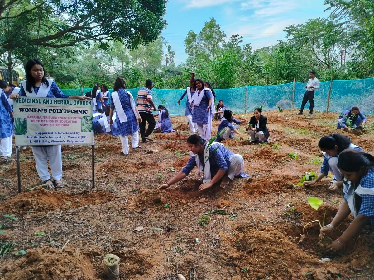 WSpolytechnic's tweet photo. A plantation program on Herbal Plants was organised by the NSS unit Women's Polytechnic Hapania today on 29th November, 2023. https://t.co/ocsw5JZcw7