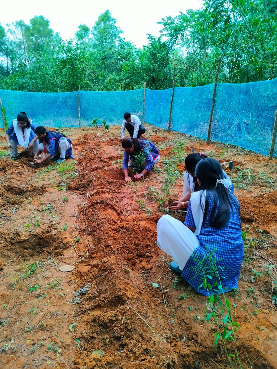 WSpolytechnic's tweet photo. A plantation program on Herbal Plants was organised by the NSS unit Women's Polytechnic Hapania today on 29th November, 2023. https://t.co/ocsw5JZcw7