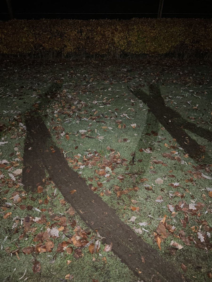 RobvdVorst's tweet photo. Is dit normaal @PostNL ? Gaan al jullie bezorgers zo om met eigendommen van hun klanten. Neem aan dat jullie dit oplossen @PostNL ? https://t.co/KGvM4X0tlO