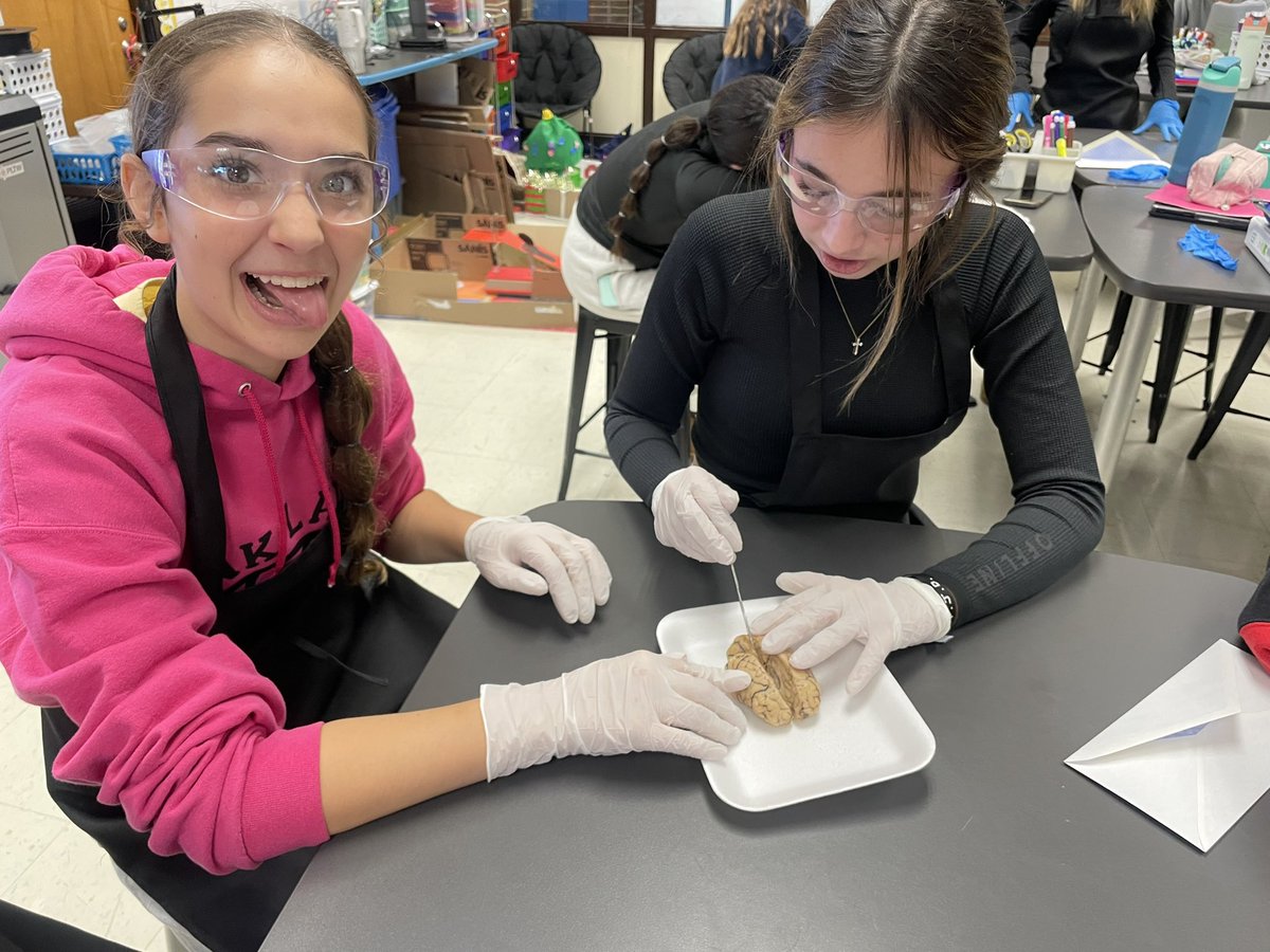 It was brain dissection day in #medicaldetectives yesterday!! Students got to see in real life the parts of the brain we have been studying! @PLTWorg @KJHKnights @WarrenCoCareer