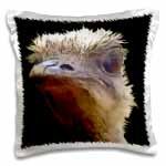 Please choose the auction #3dRose #taiche Beautiful Artistic Grumpy Ostrich Vector Cut Out #ostrich #ostrichfarm #ostrichland #ostricheggs #ostrichlife #ostrichlover #ostrichlandusa #ostrichmom #ostrichart #ostrichgirl #ostriche #animalartist #africanbird 3drose.com/asp/searchn.as…