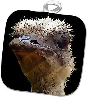 Amazon.com : #3dRose #taiche Beautiful Artistic Grumpy Ostrich Vector Cut Out #ostrich #ostrichfarm #ostrichland #ostricheggs #ostrichlife #ostrichlover #ostrichlandusa #ostrichmom #ostrichart #ostrichgirl #ostriche #animalartist #africanbird amazon.com/s?k=3dRose+371…