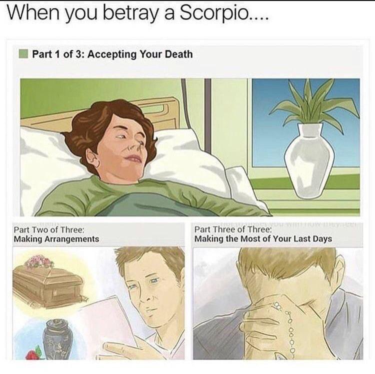 ScorpioSeason's tweet photo. When you betray a Scorpio 🦂 https://t.co/mL6ugw7gaF