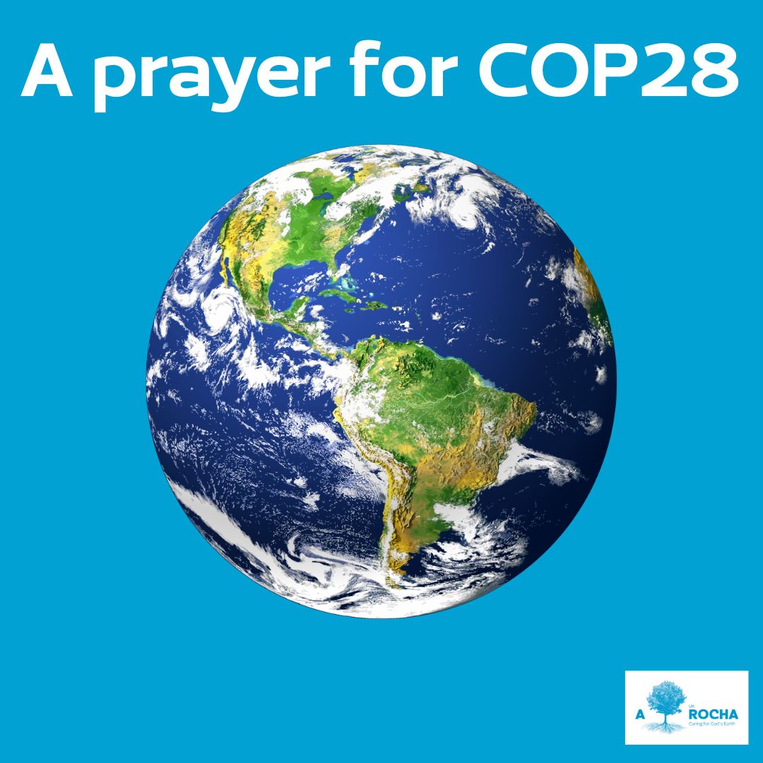 1/8: Creator God, Lord and lover of all you have made, we bring to you Creation’s lament and pain and our own yearnings and fears of what may be.

At this crucial time for people and planet, we offer you our prayers for #COP28 in the UAE.