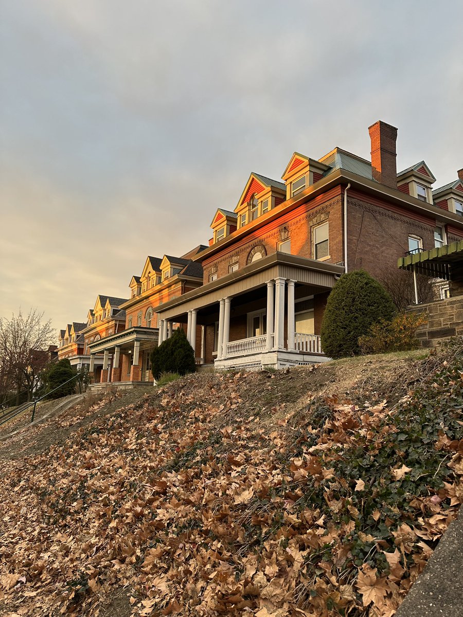 Tim Gyves tweet media