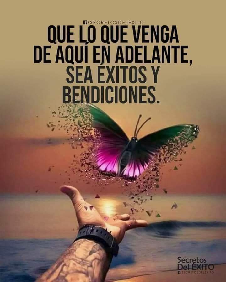 Rosa De Jesús (@rosa_galindo_) on Twitter photo 