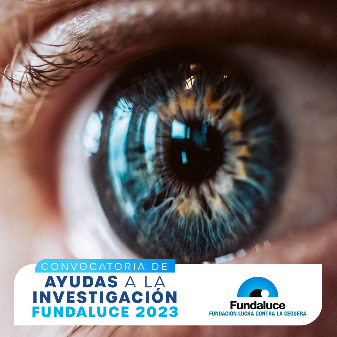 OftalmologiaSEO's tweet photo. CONVOCATORIA AYUDAS A LA INVESTIGACIÓN FUNDALUCE 2023. ℹ️Toda la información sobre la convocatoria aquí: https://t.co/kXVqQHuAtC
#FUNDALUCE #DistrofiasHereditariasDeLaRetina #retina #oftalmologia #médicosoftalmólogos https://t.co/zrCCHFYP8M