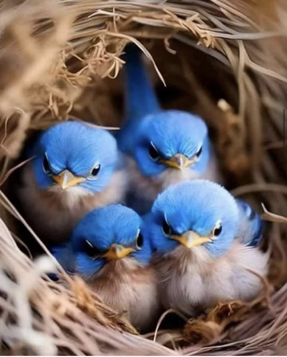 monicasloves's tweet image. Happy day wishes for all my Twitter followers