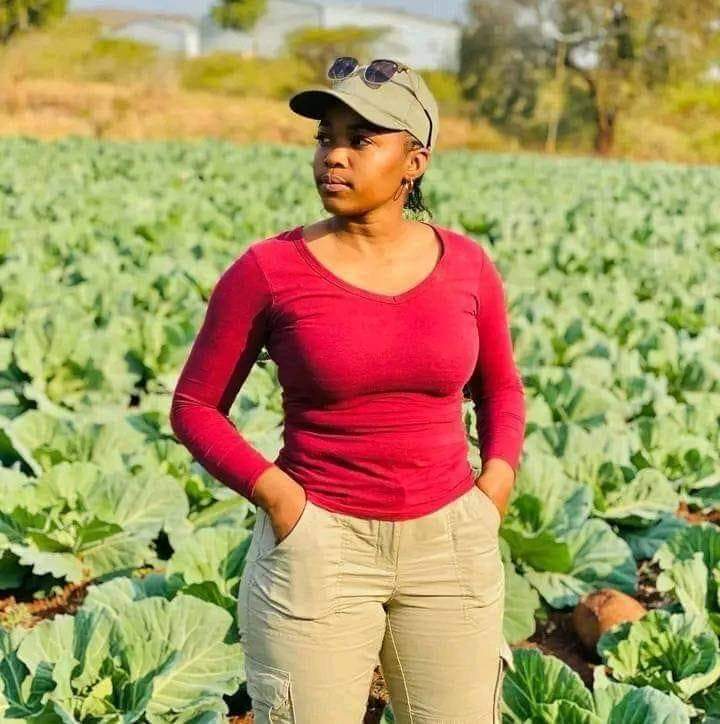 MpondaSabinus's tweet image. If you believe that farming is a passion please like and repost.