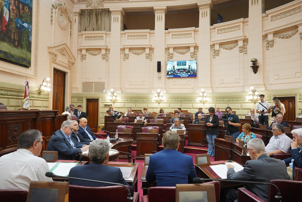 Ariel “Facha” Bermúdez tweet media