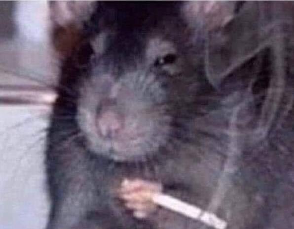 we didn’t start the fire being my most played song of the year because of my silly little 80s script i’m going to jump