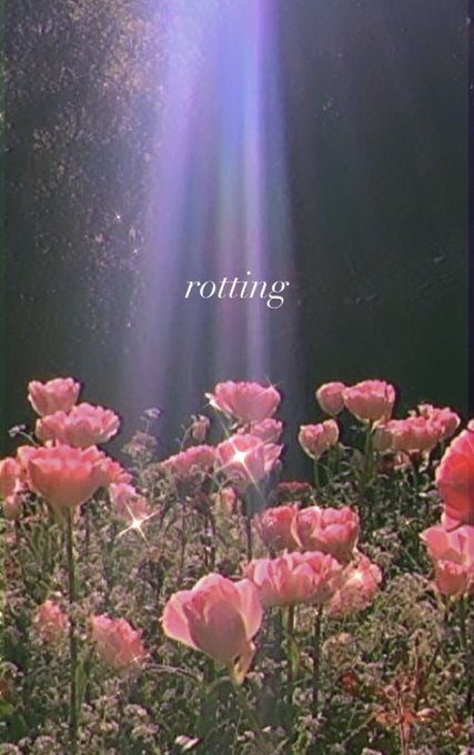 gurlrot https://t.co/pSbDZGvZvp