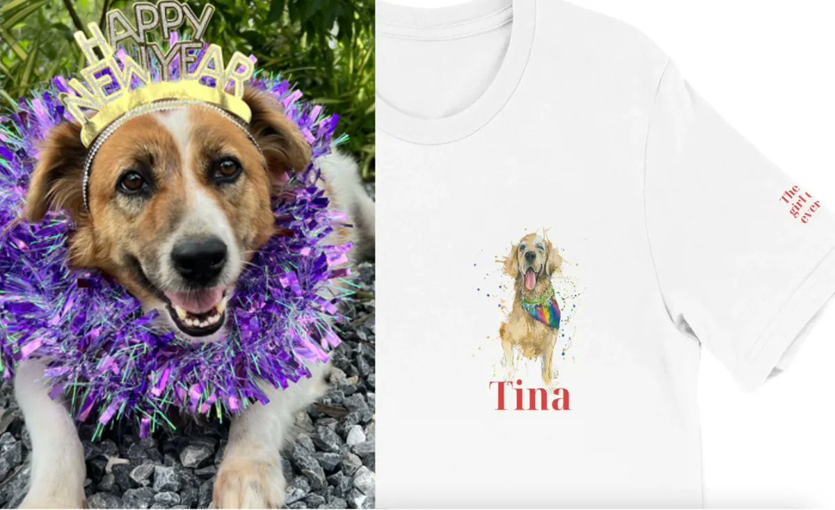 The Winds Of Change Have Begun To Blow

I remember burying Tina back in August and as soon as the top layer was on and her flowers and tennis balls were arranged on the grave, I just let our a roar into the jungle. It wasn’t sadness, or pain. It was just pure and utter