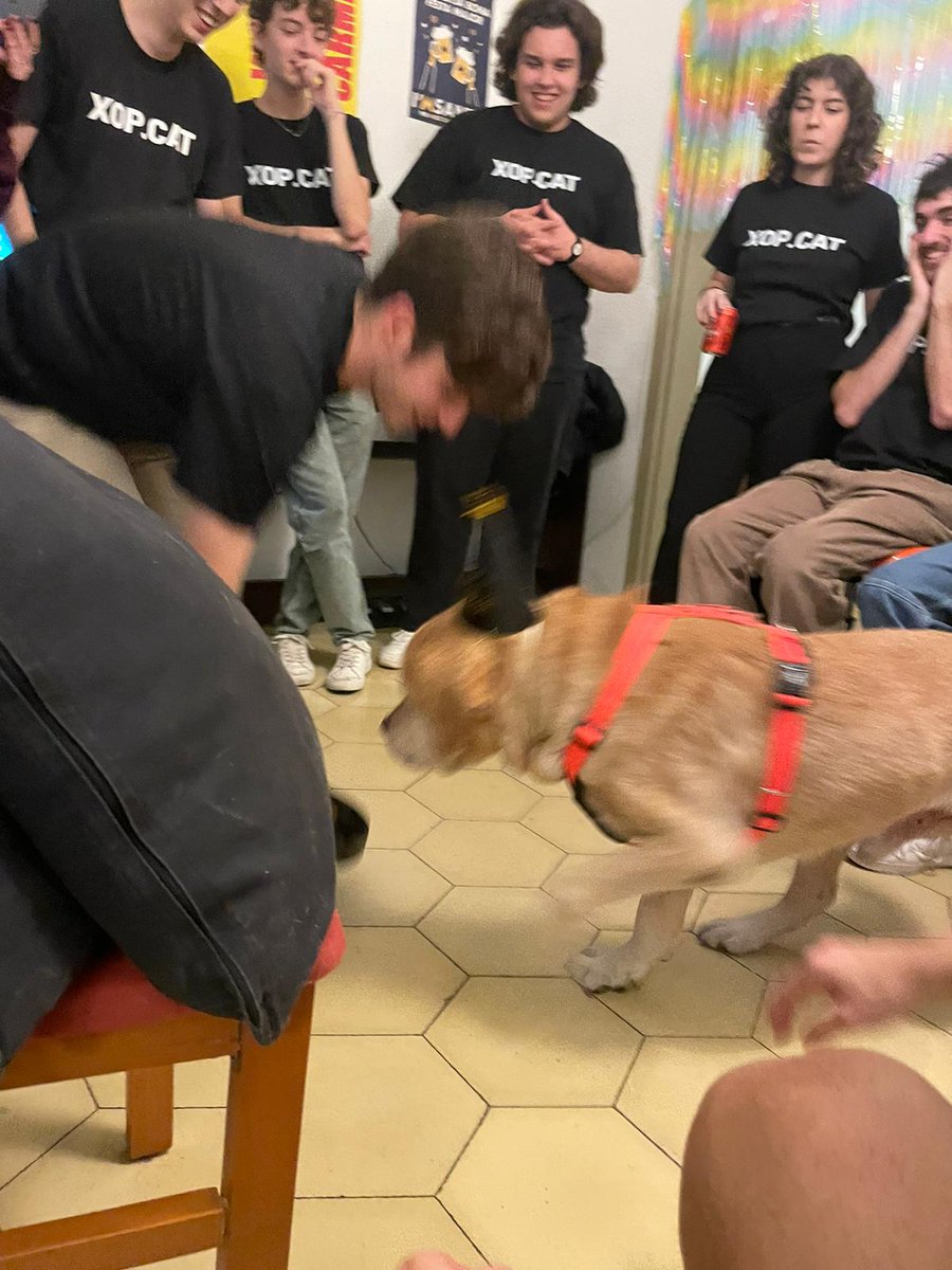 exenginyer's tweet image. Per cert! aquest diumenge en Xop va fer 13 anys i ho vam tornar a celebrar! 💖
i sí, gairebé tots vam anar amb ximarretes de xop.cat
